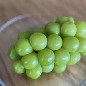 ●大人気ｼｬｲﾝﾏｽｶｯﾄ●通常発送【R8年先行予約】朝どれ‼︎山梨県笛吹市産