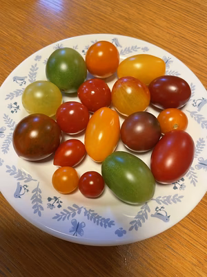 みんなの投稿の画像