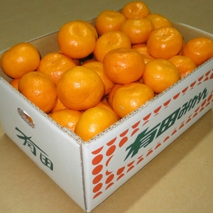紀伊路屋有田産みかん3ｋｇ～10ｋｇ