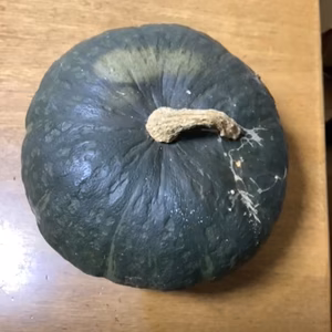 学校給食の定番　くりほまれ　自然栽培　2.5㎏の大玉カボチャ