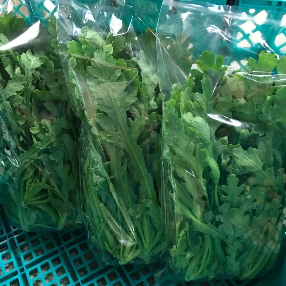 お鍋の具材~葉物編~　水菜VS菊菜