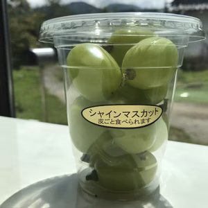【冷蔵便】☆大粒！山梨県産シャインマスカット《カップ》 約200g×4P 予約
