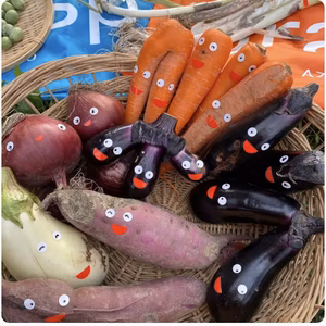 フードレスキューー！助けて！わんぱくお野菜のぐちファーム安曇野