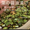 【土付き】農家直送　旬の野菜　新鮮葉ニンニク 350g