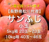 霜害で困っています‼︎日持ち良好‼︎格安！【長野県松川村産】サンふじ 小玉