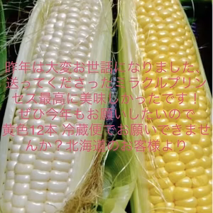 南信州とうもろこし黄色4