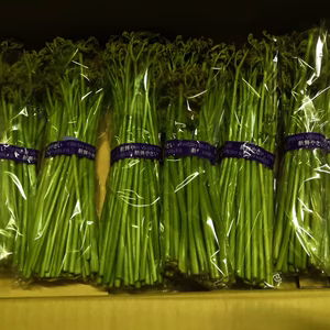 なべくら高原産・ワラビ（自家栽培）