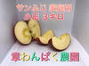 激安セール！　こだわりの蜜入り　サンふじ　家庭用　小玉　長野県産