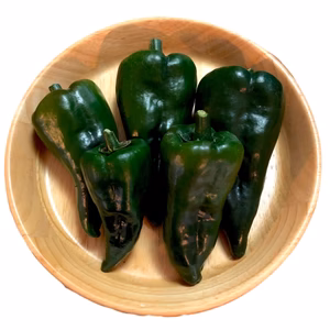 メキシコの大きな唐辛子！アンチョポブラノ