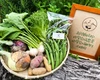 【旬を食べよう】季節のおすすめ野菜セットⓂ︎サイズ