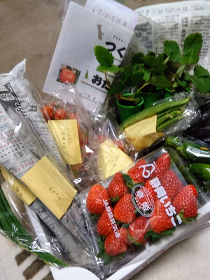 みんなの投稿の画像