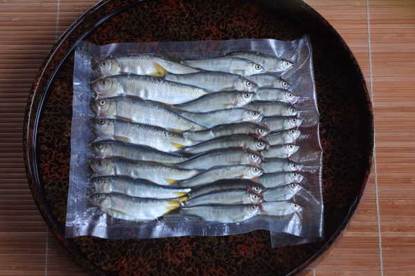 命の味わい!! 清流那珂川の天然オイカワ（30尾約250g）「真空冷凍」