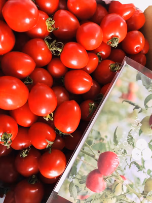 みんなの投稿の画像