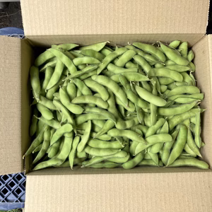 【鹿児島産】甘塩枝豆箱込み2キロ^_^