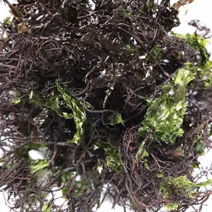 天然ふのりに天然あおさミックス（新物）