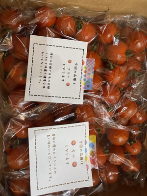 みんなの投稿の画像