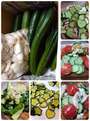 みんなの投稿の画像