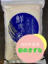2023年度産　彩のきずな