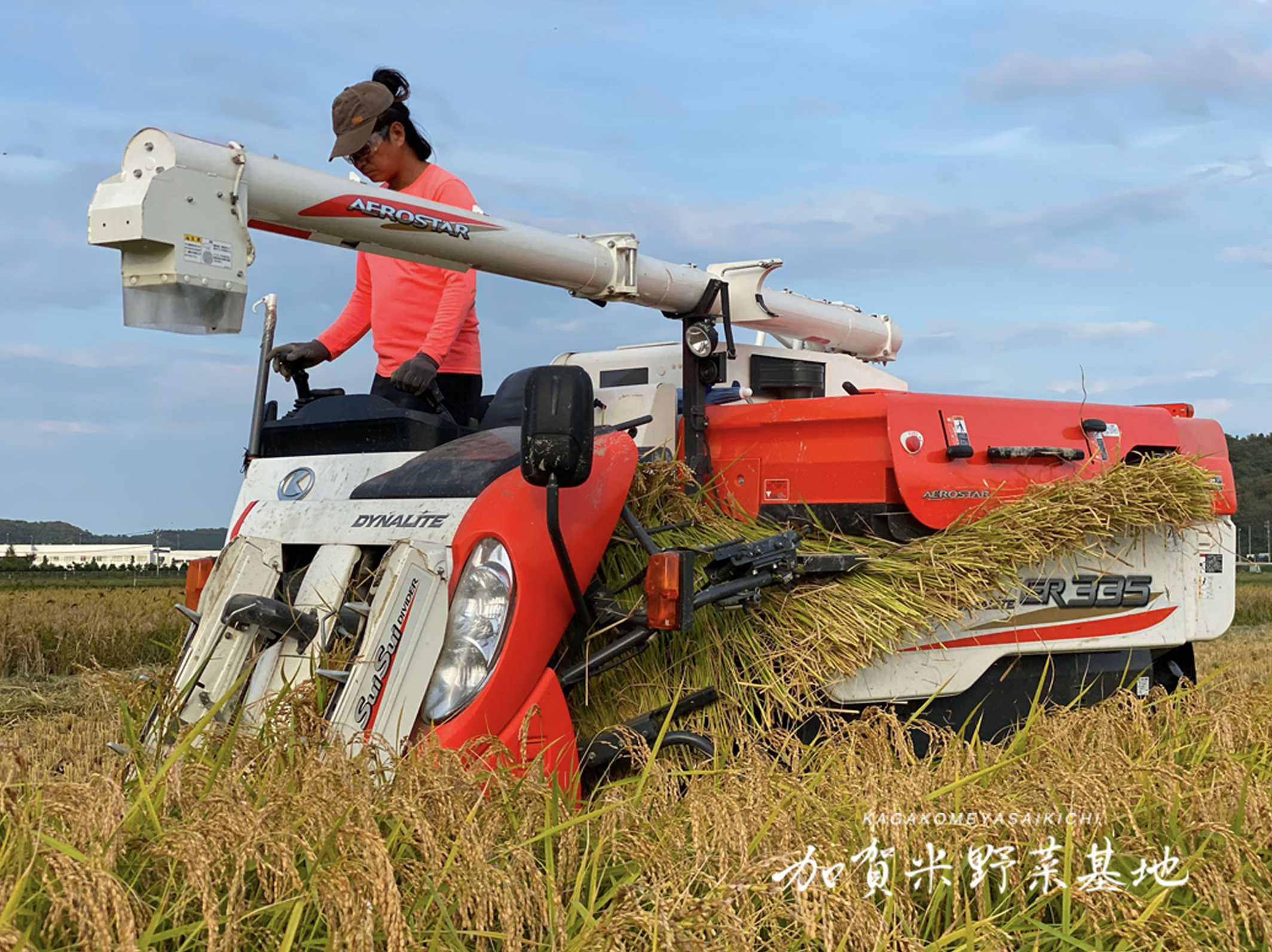 令和4年新米 自然栽培米 玄米10kg 農薬不使用・肥料不使用 コシヒカリ 56991798dff837dee857068e72e4f5