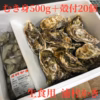 【生牡蠣】【生食用】三重県産 浦村かき むき身500g＋殻付き20個 1セット