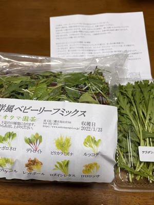 みんなの投稿の画像