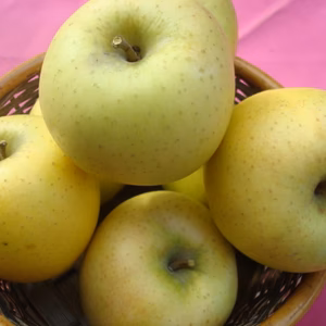 シナノゴールド　冬ギフト・お歳暮　3キロコース　チョットしたご進物に最適