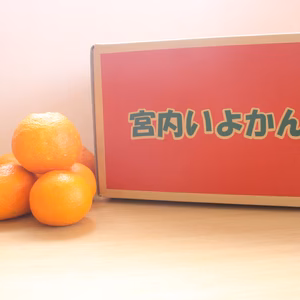 <家庭用>ごご島の宮内伊予柑　10kg