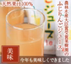 ワンランク上の農家より　ふじりんごジュース1箱20パック入