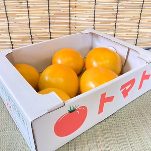 黄色いトマト！【桃太郎ゴールド】