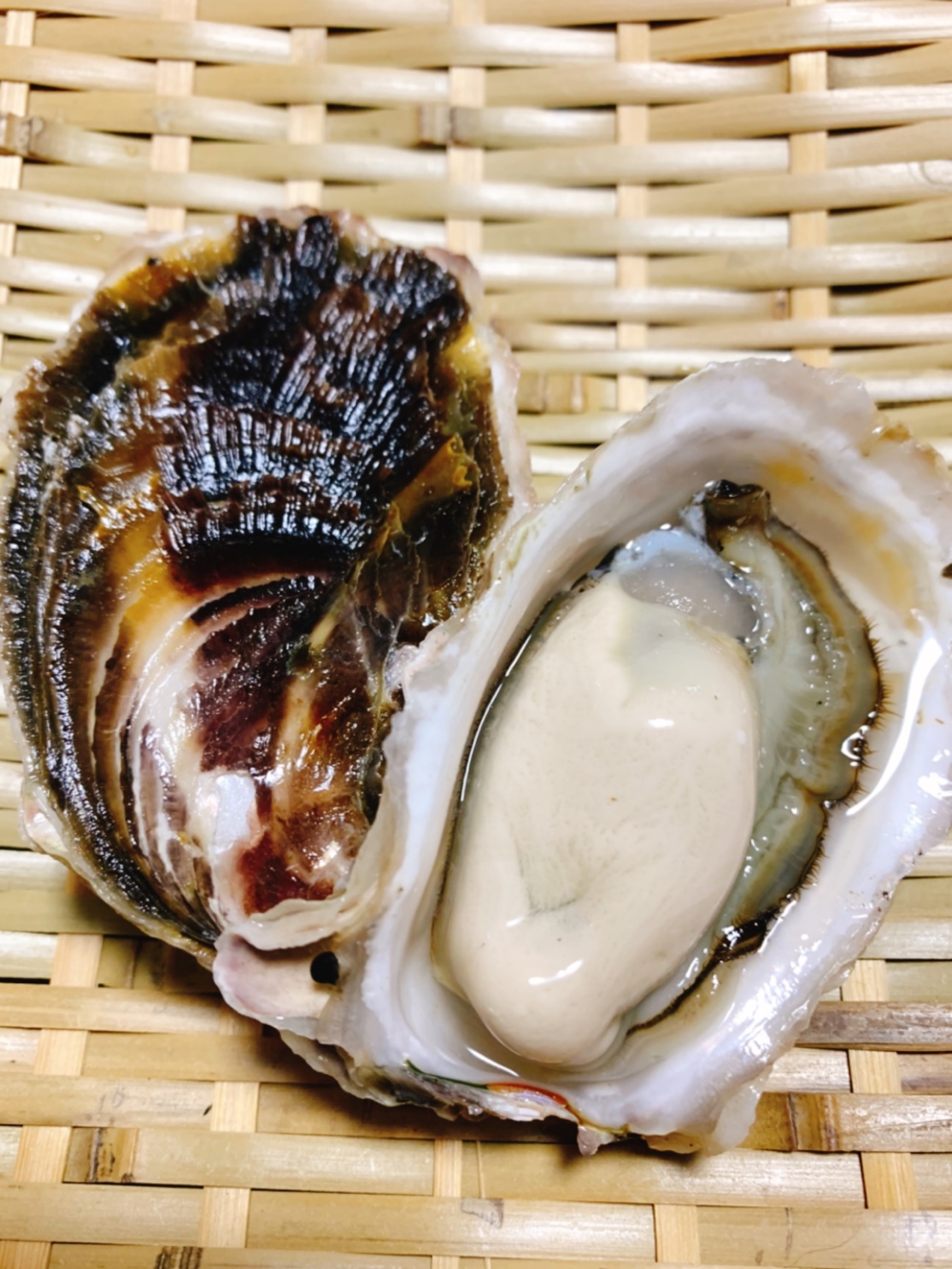 シングルシード岩牡蠣 バージンオイスター限定3セット 農家漁師から産地直送の通販 ポケットマルシェ