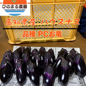 万能野菜 なす ハウス茄子 高知県産ひのまるナス A品10本 約800産地直送！