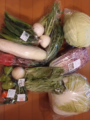 みんなの投稿の画像