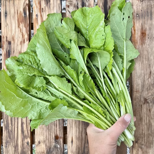 [間引き菜です] 若い野沢菜｜浅漬けでサラダ感覚！和え物、汁物など多彩に！