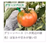 トマト 木生りで赤熟！コク深い旨み！