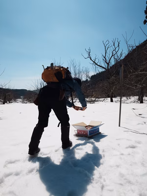 みんなの投稿の画像