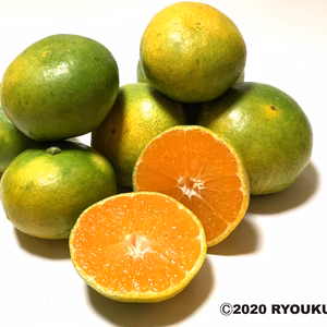 【訳あり品】宮崎県産・極早生「にちなんみかん」