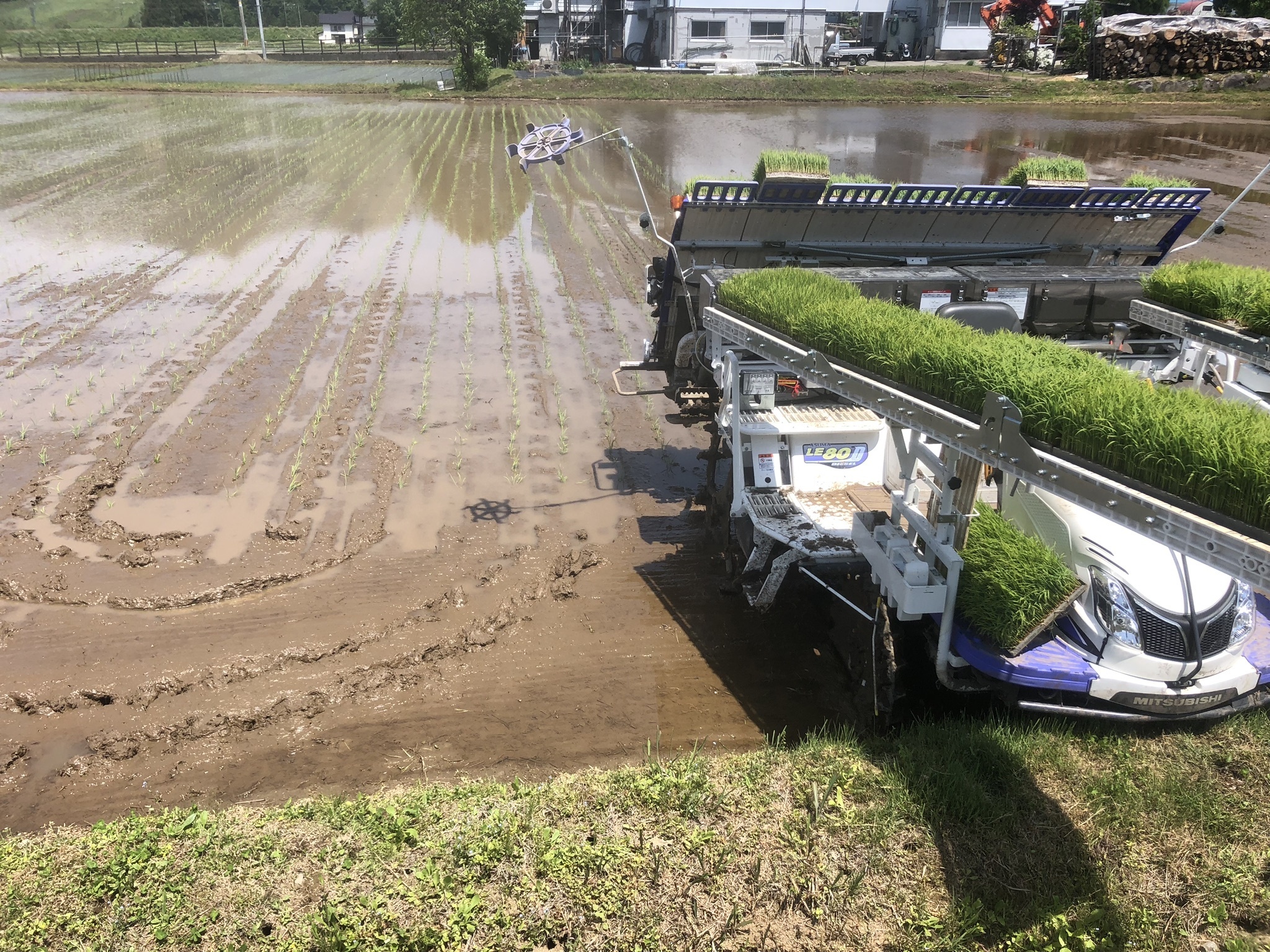 新潟県南魚沼郡湯沢町｜ファームいずみや｜南雲邦治さんの生産者プロフィール｜ポケットマルシェ｜産地直送で旬の食材が生産者(農家・漁師)から届く