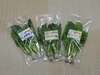 【JGAP認定農場】新鮮！安心！水耕栽培のサラダ野菜！
