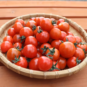 【おまけ野菜付きも！】特別栽培&JGAP認証農場の『ふらの産ミニトマト』