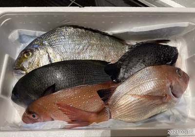 みんなの投稿の画像