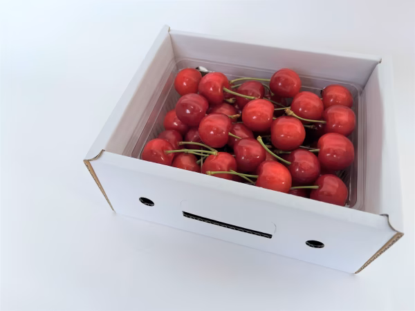 株式会社Farmおとらふ