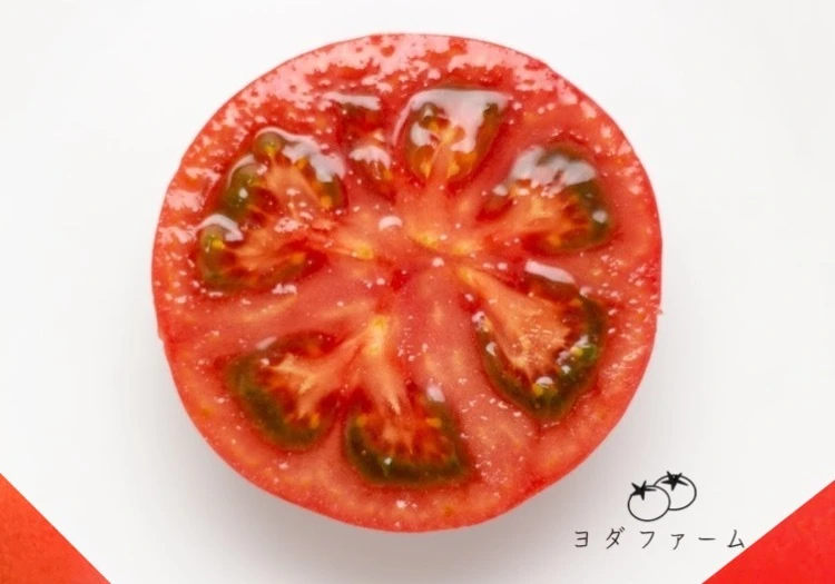 好評につき限定数拡大！【限定B品桃太郎トマト】天然水と日本一の日照量で育てました