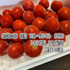 自宅で高糖度トマトジュースを作ろう！高糖度、高リコピン 冷凍トマト 2kg