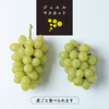 ガツンとサッパリ、パリサクっ ジュエルマスカット！２房！