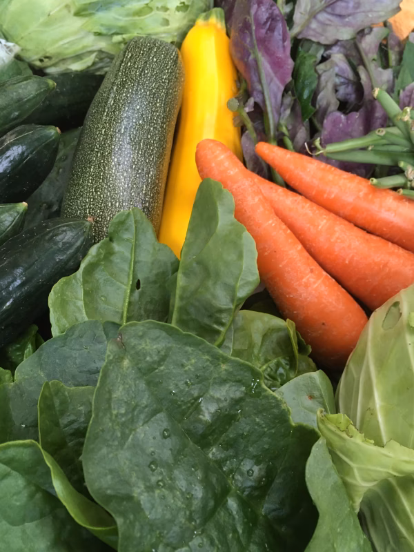 富士山麓の野菜セット