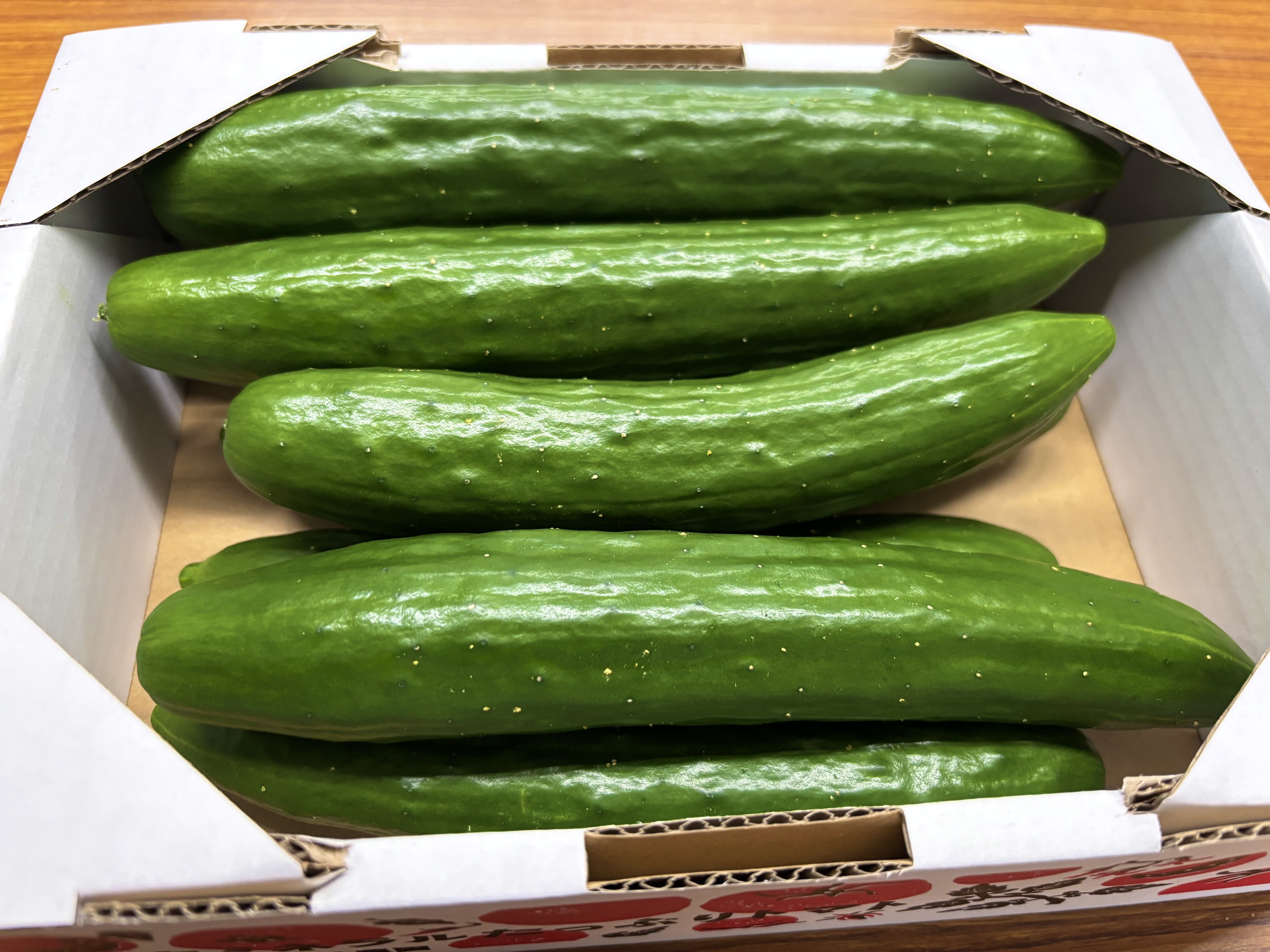 きゅうりの通販・お取り寄せ商品｜野菜｜ポケットマルシェ｜産地