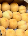 数量限定！訳あり黄金桃（米倉）　2Kg