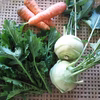 3月のお野菜セット　淡路島よりAwajicHorrorGarden