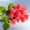 長野県産冷凍ラズベリー真空パック入り１㎏
