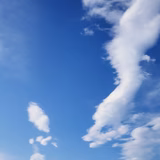 ウィル
